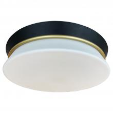 Vinci Lighting Inc. FM8039SB/BK - Flush Mounts Satin Brass / Black