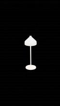  LD1090B3 - Amelie Pro Table Lamp