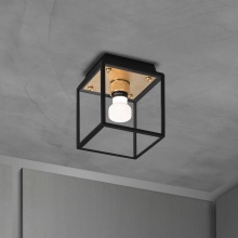 Buster and Punch NCA-14682 - CAGED WET / CEILING / CROSS / SMALL / BRASS
