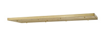 Z-Lite CP5423L-MGLD - 23 Light Ceiling Plate