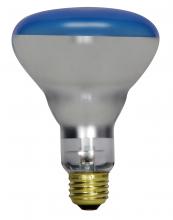  S2852 - 150 Watt R30 Incandescent; Grow; 2000 Average rated hours; Medium base; 120 Volt