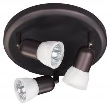  ICW356A03ORB10 - James 1 Light Ceiling Light, Oil Rubbed Bronze Finish