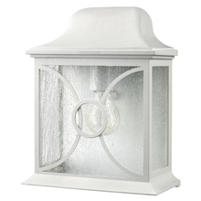 Canarm IOL9211 - Outdoor 1 Bulb Outdoor Lantern, Frosted Glass