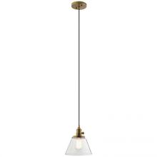  43851NBR - Mini Pendant 1Lt