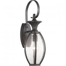  P560102-020 - P560102-020 1-100W MED WALL LANTERN