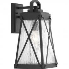  P560032-031 - P560032-031 1-100W MED WALL LANTERN