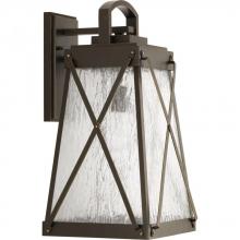  P560033-020 - P560033-020 1-100W MED WALL LANTERN