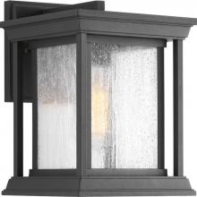  P5605-31 - P5605-31 1-100W MED WALL LANTERN