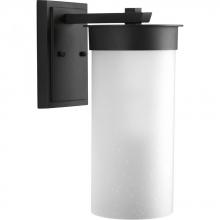  P5665-31 - P5665-31 1-100W MED WALL LANTERN