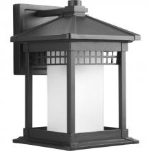  P6001-31 - P6001-31 1-100W MED WALL LANTERN