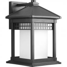  P6002-31 - P6002-31 1-100W MED WALL LANTERN