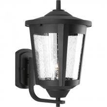  P6075-31 - P6075-31 1-100W LARGE WALL LANTERN