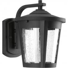  P6078-3130K9 - P6078-3130K9 1-9W LED WALL LANTERN