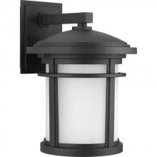  P6085-3130K9 - P6085-3130K9 1-17W LED WALL LANTERN