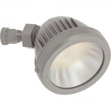 Progress P6342-82-30K - LED Swivel Security/Flood Light Head