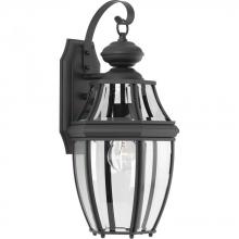 Progress P6611-31 - P6611-31 1-100W CAND WALL LANTERN