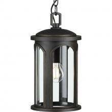  P550050-020 - P550050-020 1-75W MED HANGING LANTERN