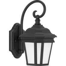  P6630-31MD - P6630-31MD 1-100W MED WALL LANTERN