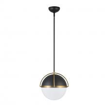 Artcraft AC12040BB - Dahlia 1 Light Pendant 15.4", Black, Brushed Brass