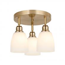 Maxilite MX 3452C3-31 - Kirk