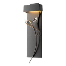 Hubbardton Forge - Canada 205440-LED-10-05-CR - Rhapsody LED Sconce