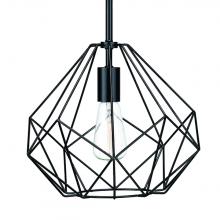 Russell Lighting 276-612/ST/BLK - Parallax - Pendant Light in Black