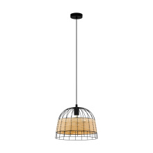 Eglo Canada 43311A - 1L Pendant Light / Luminaire suspendu 1L