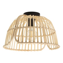 Eglo Canada 43872A - 1L Ceiling Light / Plafonnier 1L