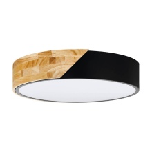 Eglo Canada 99388A - 2L Ceiling Light / Plafonnier 2L