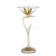 Currey 4000-0147 - Paradiso Gold & Silver Accent Table