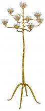 Currey 8000-0045 - Agave Americana Gold Floor Lamp