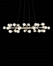 Currey 9000-0996 - Chaldea Silver Chandelier